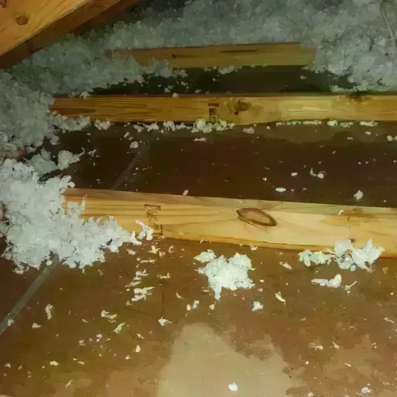 Attic Water Damage in Live Oak, TX